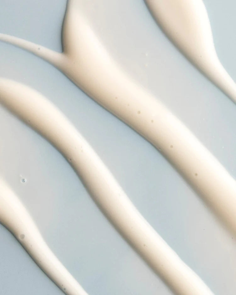 Replenish Ceramides + Blueberry | Barrier Repair Serum